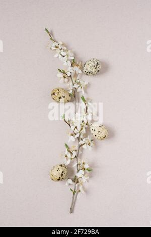 Un ramo fiorito con fiori bianchi e uova di quaglia su sfondo beige. Biglietto d'auguri creativo di Pasqua Foto Stock