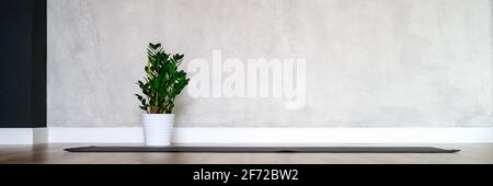 l'interno della sala studio per yoga, un tappetino in gomma e una pianta zamioculcas sul pavimento in legno sullo sfondo di una parete grigia in cemento. min Foto Stock