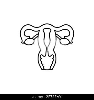 Icona della linea di colore dell'utero dell'organo umano. Pittogramma per pagina web, app mobile, promo. Elemento di progettazione GUI UI UX. Tratto modificabile. Illustrazione Vettoriale