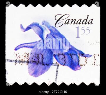 MOSCA, RUSSIA - 22 DICEMBRE 2020: Francobollo stampato in Canada mostra Little larkspur, Flower Definitives (2a serie) serie, circa 2006 Foto Stock