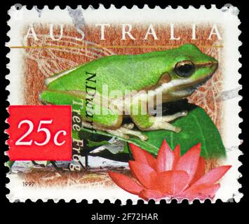 MOSCA, RUSSIA - 22 DICEMBRE 2020: Francobollo stampato in Australia mostra la rana dell'albero del narf settentrionale (Litoria bicolore), loto indiano (Nelumbo nucifer Foto Stock