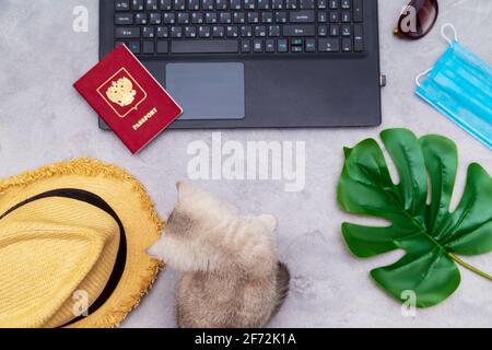 Il gatto è seduto vicino al portatile. Vicino a lui sono gli attributi di viaggio - un cappello, occhiali, un passaporto, una maschera. Pianificazione del viaggio, prenotazione online. Umorismo. Foto Stock