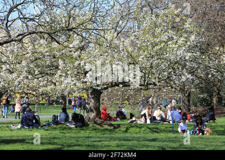 Londra, UK, 4 aprile 2021. Il bel tempo è tornato a Londra per la domenica di Pasqua con temperature di 15 gradi. Amici e famiglie hanno apprezzato i picnic sotto gli alberi in fiore nel Regents Park. Credit: Monica Wells/Alamy Live News Foto Stock