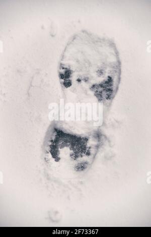Dettaglio di una grande impronta nella neve Foto Stock