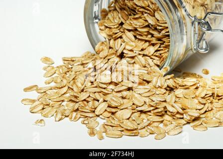 (Avena sativa) farina d'avena Foto Stock