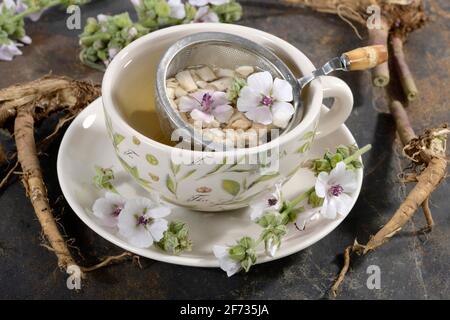 Tazza (Althea officinalis) tè alla radice marshmallow, marshmallow, radici, radici marshmallow, tè alla radice marshmallow, Ade root, Altee, Alter Thee, Alte EH Foto Stock