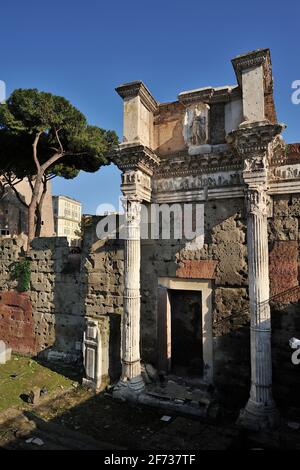 italia, roma, foro di nerva, tempio di minerva Foto Stock