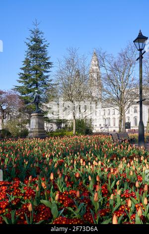 Giardini Gorsedd in primavera, Cathays, Cardiff, Galles del Sud Foto Stock