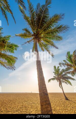 La spiaggia tropicale di Unawatuna, Sri Lanka. Foto Stock