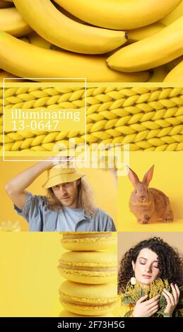 Collage di foto in giallo Foto Stock