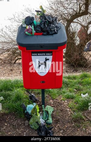 Un cestino di spreco di cane in eccesso in un parco pubblico in Inghilterra Foto Stock