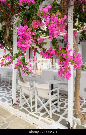 Antiparos, Grecia - 28 settembre 2020: Ristorante greco decorato con fiori bouganville sull'isola di Antiparos. CICLADI, Grecia Foto Stock