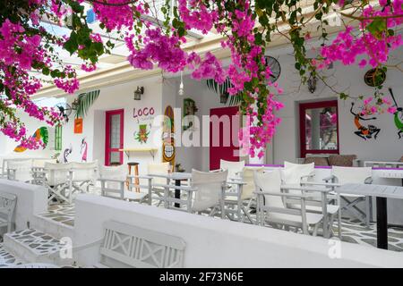 Antiparos, Grecia - 28 settembre 2020: Ristorante greco decorato con fiori bouganville sull'isola di Antiparos. CICLADI, Grecia Foto Stock