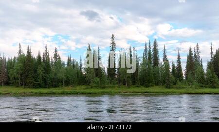 Le foreste incontaminate di Komi sono un sito patrimonio dell'umanità dell'UNESCO. Fiume Kozhim negli Urali del Nord, il Parco Nazionale 'Yugyd VA'. Vista panoramica da t Foto Stock