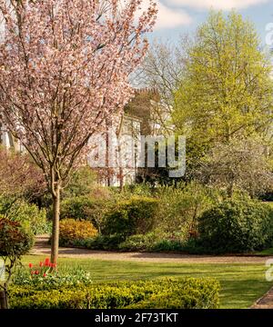 Carlyle Square Gardens, un giardino comune chiuso a chiave a Chelsea, Londra Foto Stock