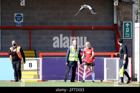 Crawley, Regno Unito. 4 Apr 2021. Maria Thorisdottir di Manchester United e stewards cercano di ottenere un uccello a lasciare il campo che causa una pausa nel gioco durante la partita fa Women's Super League tra Brighton & Hove Albion Women e Manchester United Women al People's Pension Stadium il 4 aprile 2021 in Crawley, Regno Unito Credit: Paul Terry Photo/Alamy Live News Foto Stock