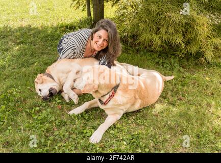 Donna matura felice con anziani Labrador retriever cani in giardino. Foto Stock