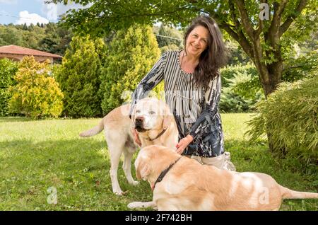 Donna matura felice con anziani Labrador retriever cani in giardino. Foto Stock
