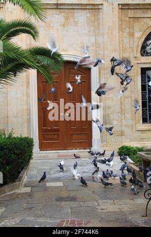 Piccioni fuori della Chiesa di Ayios Titos a Heraklion, Creta, Grecia. Foto Stock