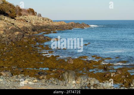 Il Maine ha una bellissima costa. E' un grande stato del New England, e questa vista è da un punto di vista marginale a Ogunquit, una città turistica. Foto Stock