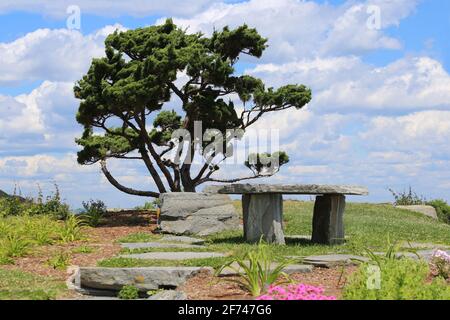 Isolato tranquillo piccolo parco con panca in pietra, fiori, pino bonsai albero e cielo aperto blu con soffici nuvole di cumulo bianco per rilassarsi e riflettere Foto Stock