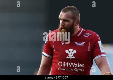 Llanelli, Regno Unito. 04th Apr 2021. Jake Ball of Scarlets guarda sopra. European Rugby Champions Cup, round of 16 match, Scarlets v sale Sharks allo stadio Parc y Scarlets di Llanelli, Galles del Sud domenica 4 aprile 2021. pic di Andrew Orchard/Andrew Orchard sports photography/Alamy Live news Credit: Andrew Orchard sports photography/Alamy Live News Foto Stock