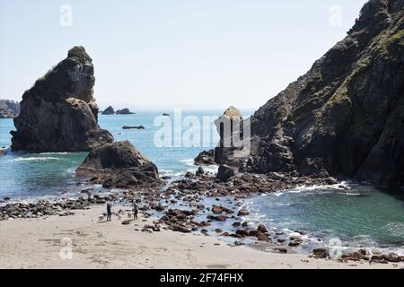 Due donne con cani al bordo dell'acqua all'Harris Beach state Park a Brookings, Oregon, Stati Uniti. Foto Stock