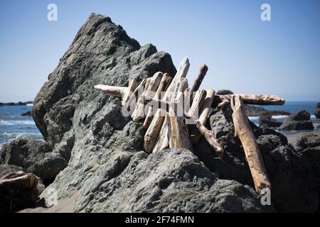 Tronchi di Driftwood accatastati su una roccia. Foto Stock