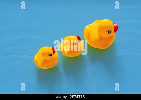 Madre di anatra di gomma gialla che conduce i suoi bambini su fondo di acqua blu. Concetto minimo di giorno della madre e di estate. Foto Stock