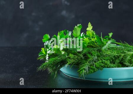 Erba culinaria verde su sfondo nero. Prezzemolo, aneto, menta, basilico in un piatto blu. Foto Stock