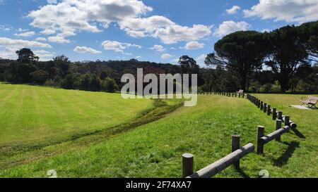 ottima vista sul prato e sul cielo a nord di sydney. pascoli o praterie. meravigliose recinzioni in legno. australia Foto Stock