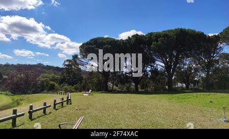 ottima vista sul prato e sul cielo a nord di sydney. pascoli o praterie. meravigliose recinzioni in legno. australia Foto Stock