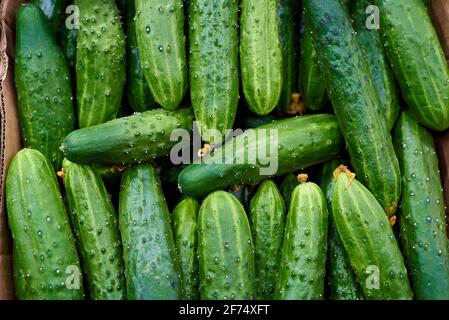 Primo piano di cetrioli in scatola su uno scaffale in un supermercato. Foto Stock