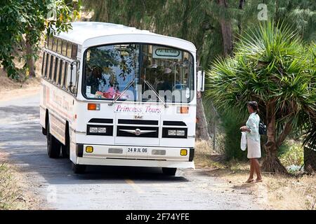 Donna locale in attesa dell'autobus sull'isola di Rodrigues in viaggio da Port Mathurin a Grande Montagne, Rodrigues, Mauritius Foto Stock