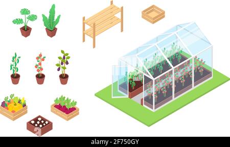 Insieme di verdure, piante, piantine e serra su uno sfondo bianco. Illustrazione isometrica vettoriale piatta. Illustrazione Vettoriale