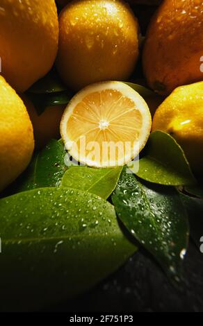 Appetitose arance fresche mature succose e limone con gocce di acqua e foglie verdi Foto Stock