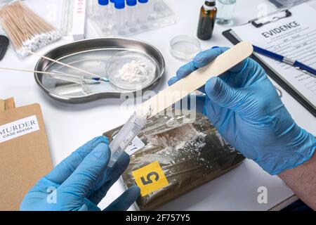 La polizia indaga positivo per le droghe in laboratorio di criminalità, immagine concettuale Foto Stock