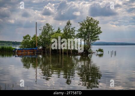 Una barca sulla riva dello Steinhuder Meer, visto a Steinhude, bassa Sassonia, Germania Foto Stock