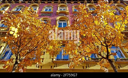 Colorata scenografica storica casa europea facciata anteriore con rosso e. pietre di mattone gialle in autunno dietro l'albero con foglie gialle in una giornata di sole Foto Stock