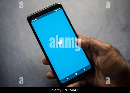 App Twitter aperta su smartphone android da adulto di sesso maschile Foto Stock