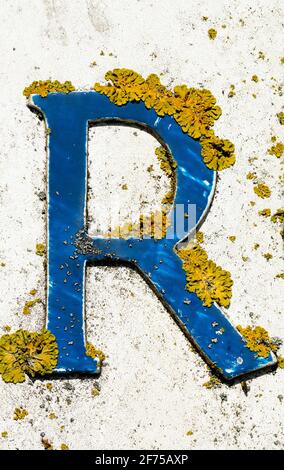 Una lettera R con lichen, parte di un cartello stradale, Warwick, UK Foto Stock