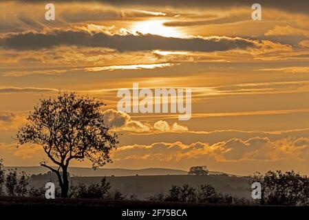 Tramonto a fine autunno sui Cotswolds, una delle trentaquattro aree assegnate di straordinaria bellezza naturale (AONBs) in Inghilterra e Galles. Foto Stock