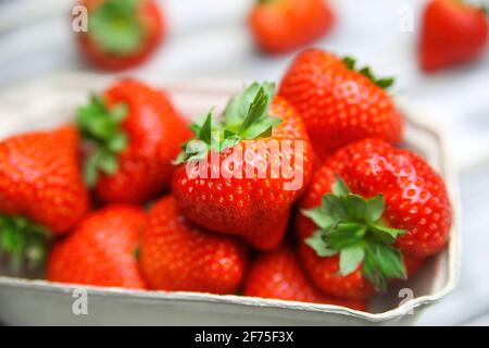 Primo piano di fragole fresche mature isolate provenienti dal mercato agricolo tedesco in scatola di cartone su tavolo di legno bianco Foto Stock