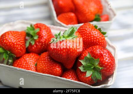 Primo piano di fragole fresche mature isolate provenienti dal mercato agricolo tedesco in scatola di cartone su tavolo di legno bianco Foto Stock