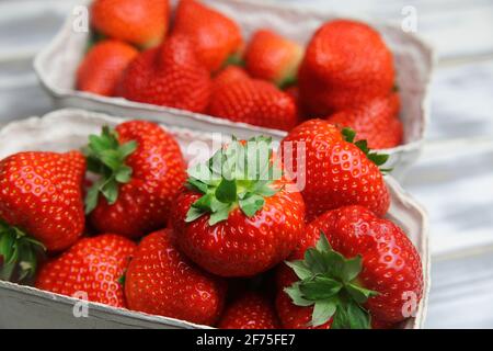 Primo piano di fragole fresche mature isolate provenienti dal mercato agricolo tedesco in scatola di cartone su tavolo di legno bianco Foto Stock