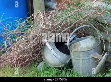 Lattine d'annaffiatura in metallo galvanizzato di vecchio stile su assegnazione. Foto Stock