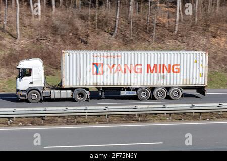 Carrello Scania con container Yang Ming in autostrada. Foto Stock