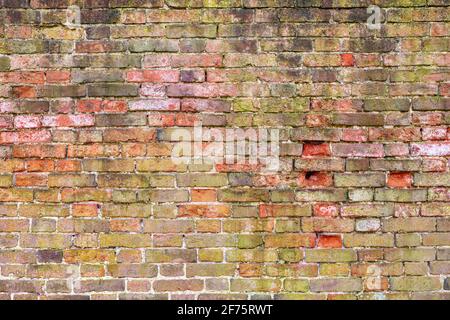 Muro di mattoni sfondo varietà di mattoni muro di mattoni che mostra segni di intemperie e usura, mattoni fatti a mano wirh Malta calce alta risoluzione Foto Stock