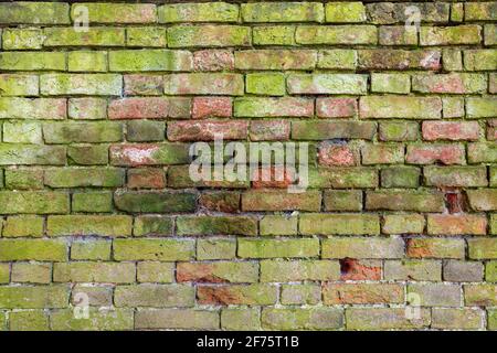 Muro di mattoni sfondo varietà di mattoni muro di mattoni che mostra segni di intemperie e usura, ben indossato a mano mattoni con Malta calce alta risoluzione Foto Stock