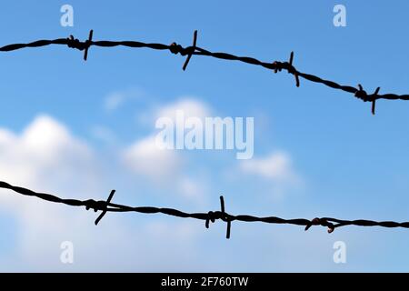 Silhouette di filo spinato arrugginito contro il cielo blu e le nuvole bianche. Contesto per la prigione, la guerra o l'immigrazione Foto Stock